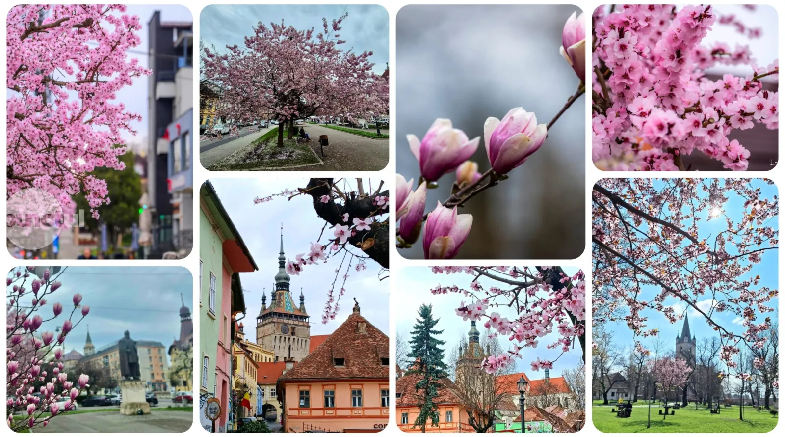 Gyönyörű fotók készültek – Lassan beköszönt a tavasz Maros megyébe