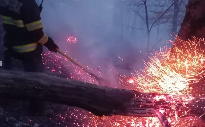 Megugrott a tűzesetek száma: 180 vegetációtűz pusztított Maros megye területén az év első három hónapjában