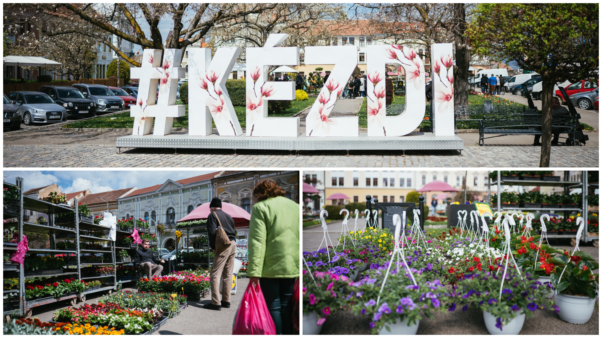 FOTÓ – 11 árus részvételével elindult a Virágvarázs Kézdivásárhely főterén