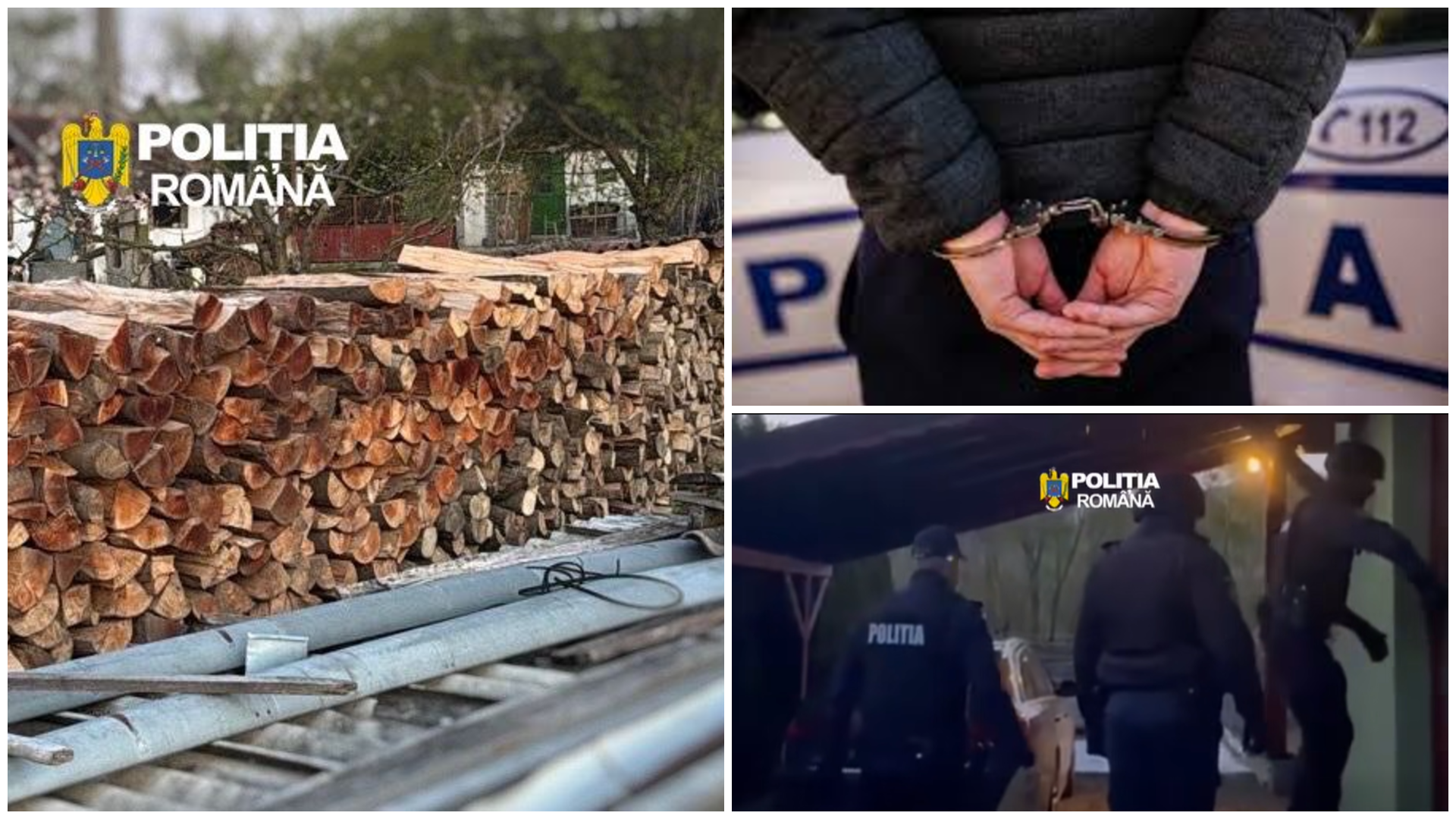 Szovátai és nyárádremetei férfiakat vettek őrizetbe a falopás ügyében