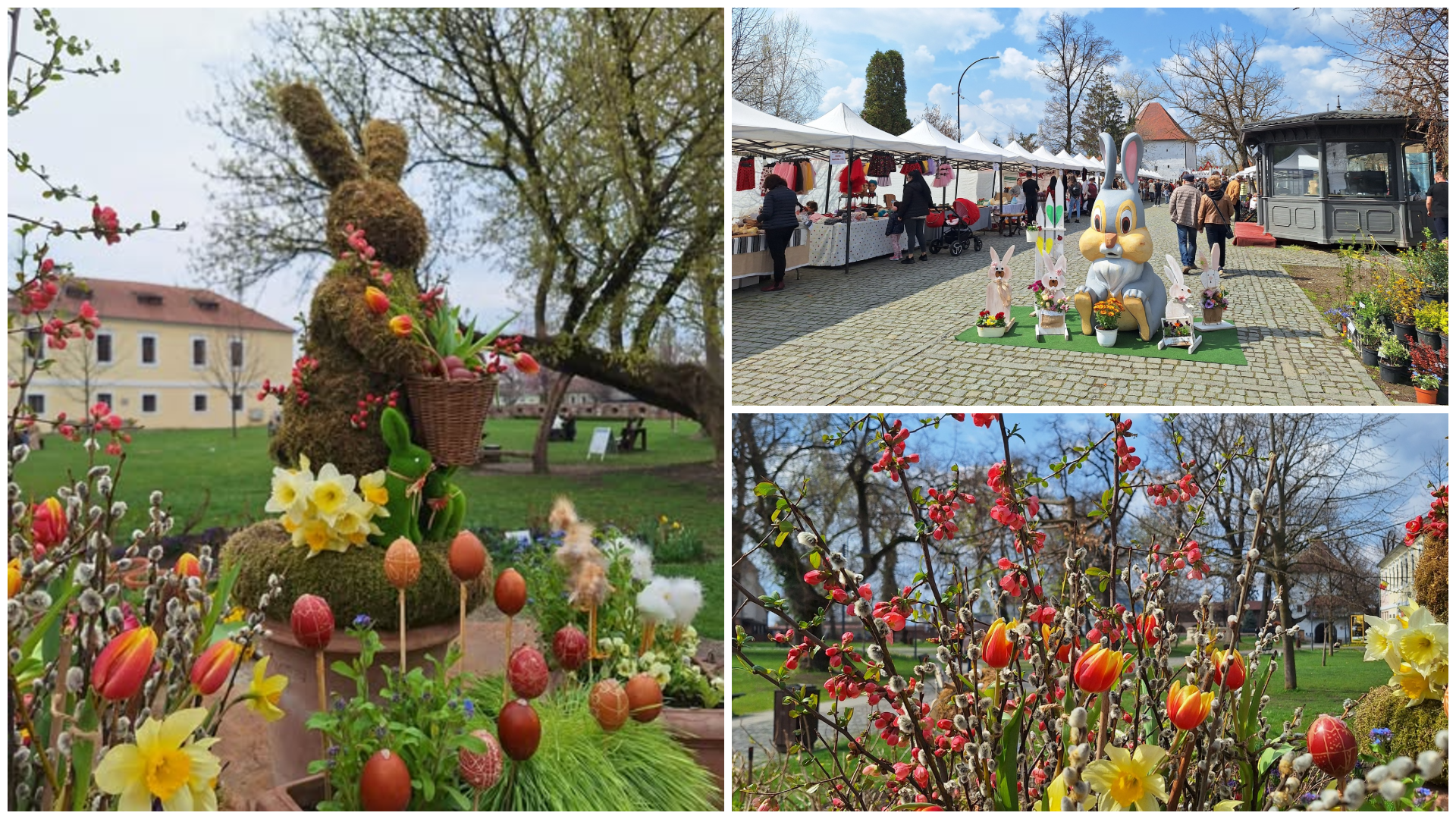 (Képgaléria) A marosvásárhelyi vár tavaszi ruhát öltött