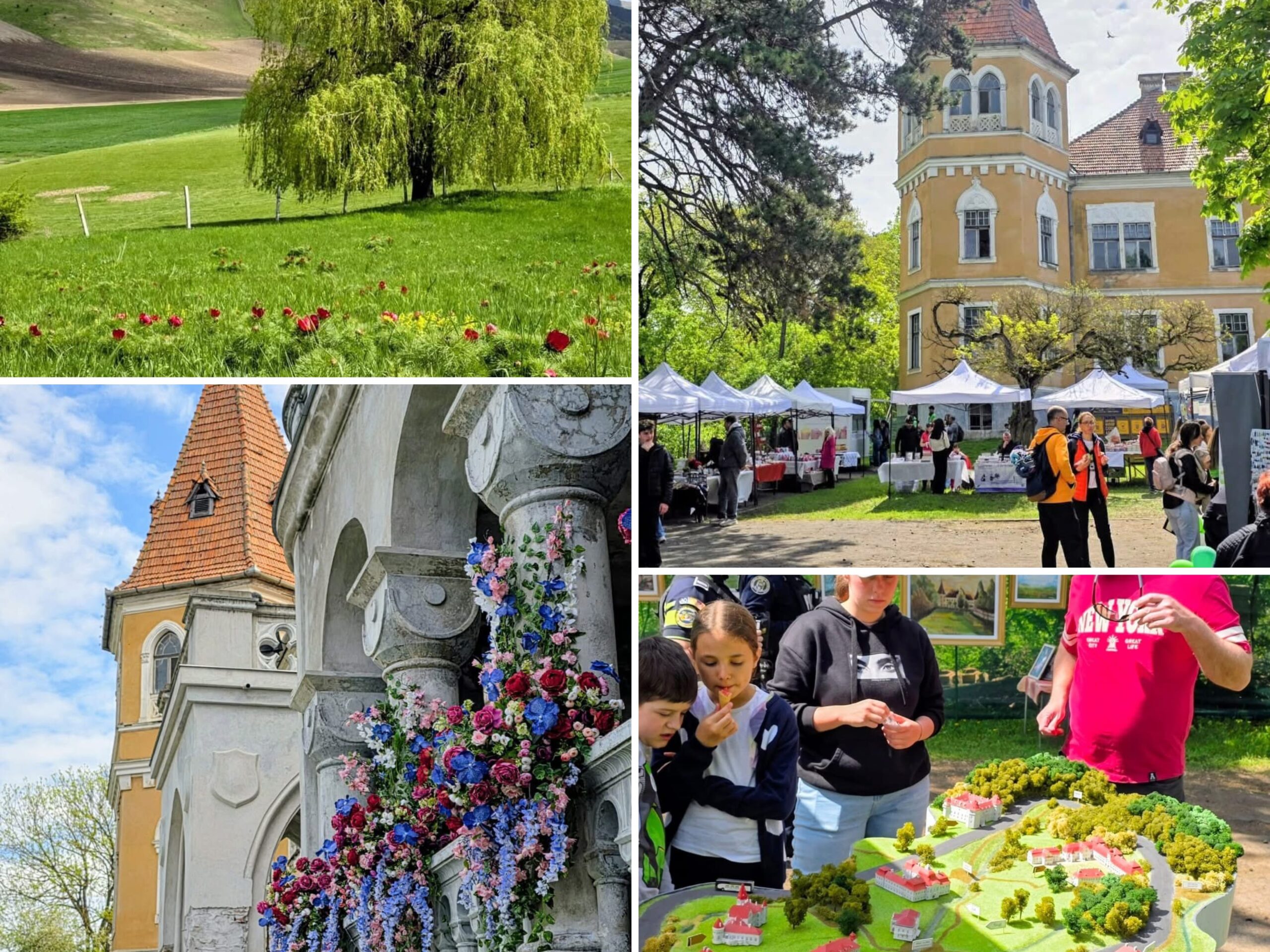 FOTÓ- Fergeteges a hangulat a mezőzáhi Bazsarózsa Fesztiválon