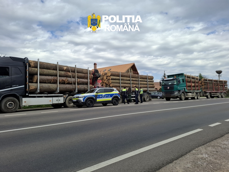 Lebuktak a szabálytalankodó faanyag-szállítók: súlyos bírságok jöttek