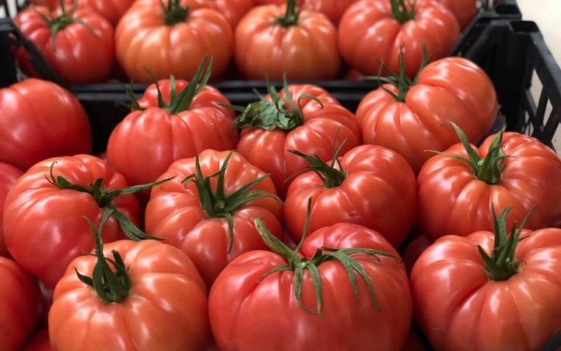 1,5 euro/m² támogatás: új állami program segíti a romániai zöldségtermelőket