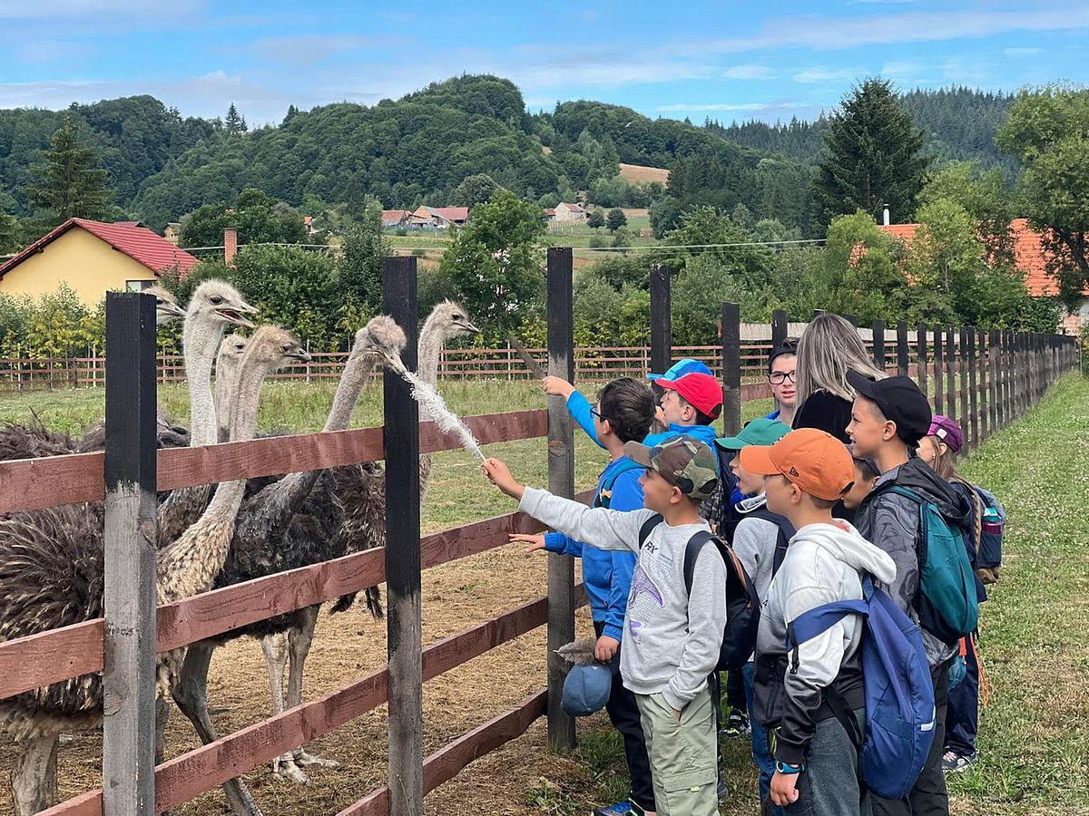 Struccfarm és helyi gasztronómiai élmények várják a látogatókat Bodzafordulón